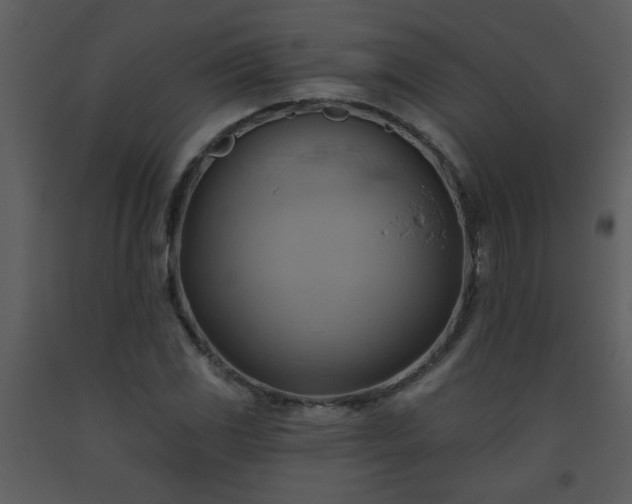 X0000093561117200710221417