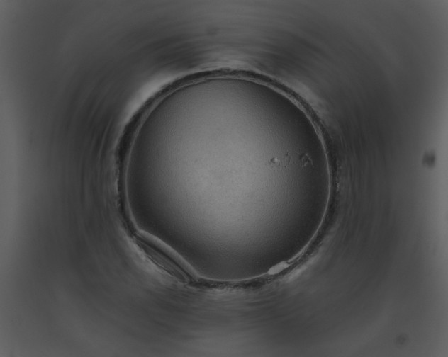 X0000093561118200710221417