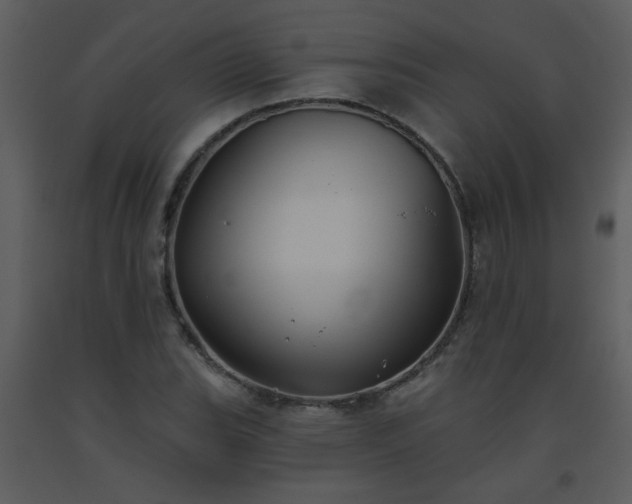 X0000093561119200710221417