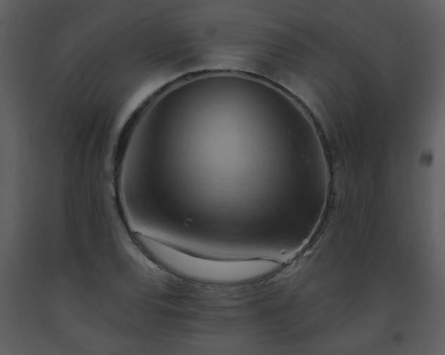 X0000093561120200710221417