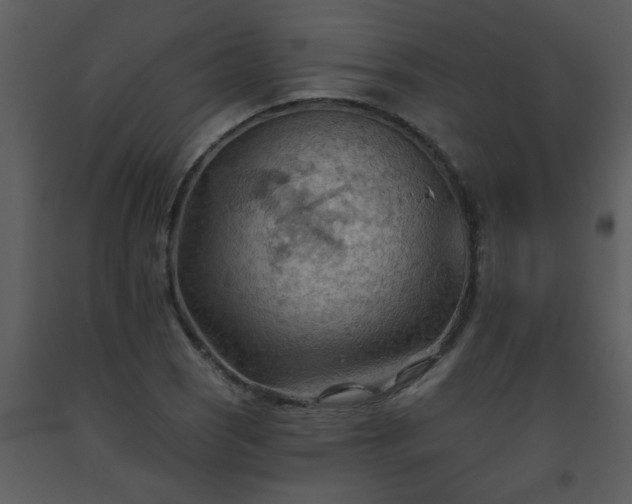 X0000093561121200710221417