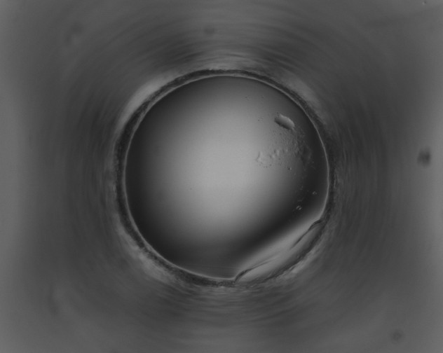 X0000093561122200710221417