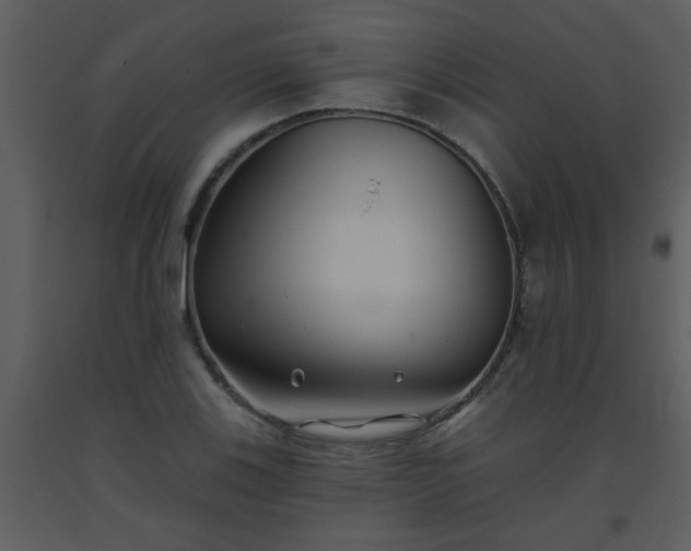 X0000093561123200710221417