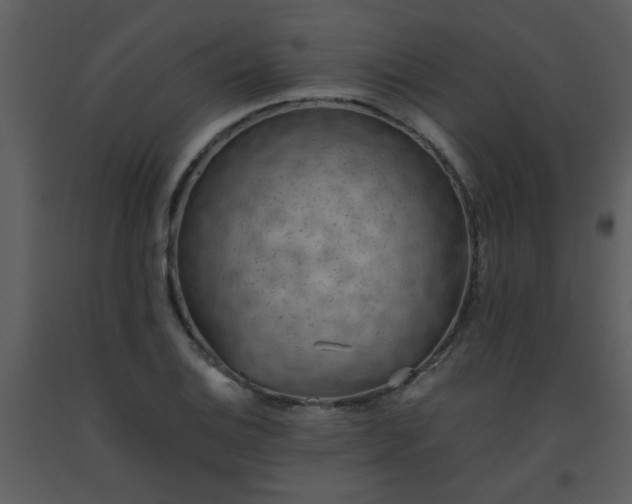 X0000093561124200710221417