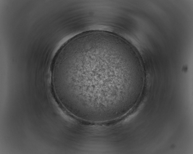 X0000093561125200710221417