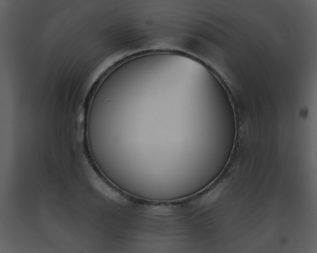 X0000093561126200710221417