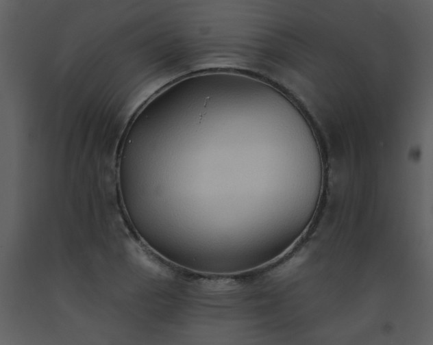 X0000093561129200710221417