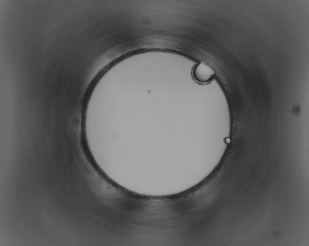 X0000093561130200710221417