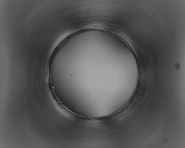 X0000093561131200710221417