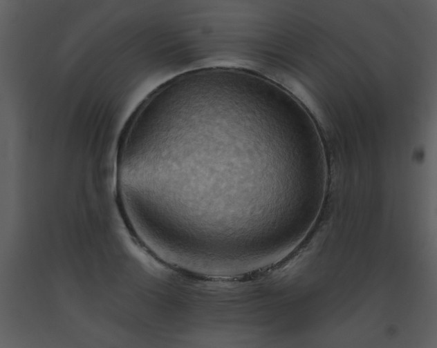 X0000093561132200710221417