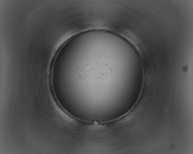 X0000093561135200710221417