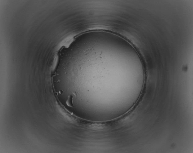 X0000093561137200710221417