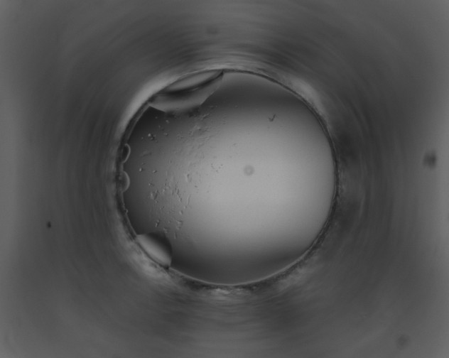 X0000093561138200710221417
