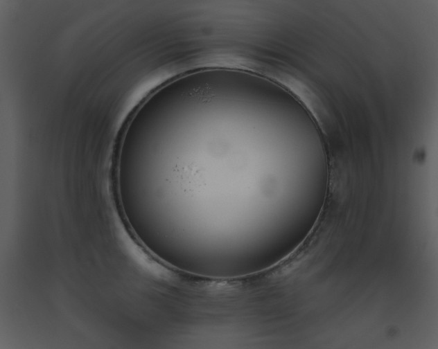 X0000093561139200710221417