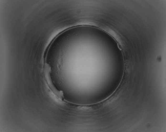 X0000093561140200710221417