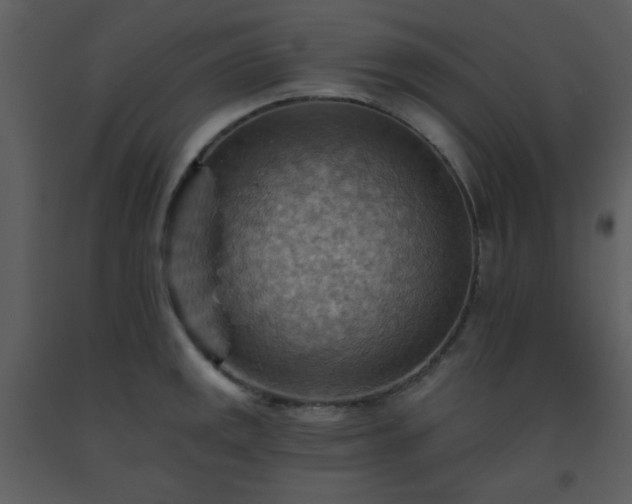 X0000093561141200710221417