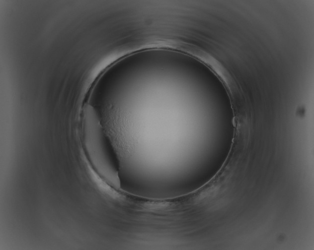 X0000093561143200710221417