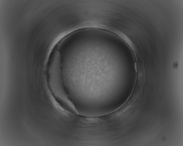 X0000093561144200710221417