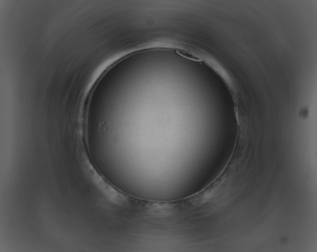 X0000093561148200710221417