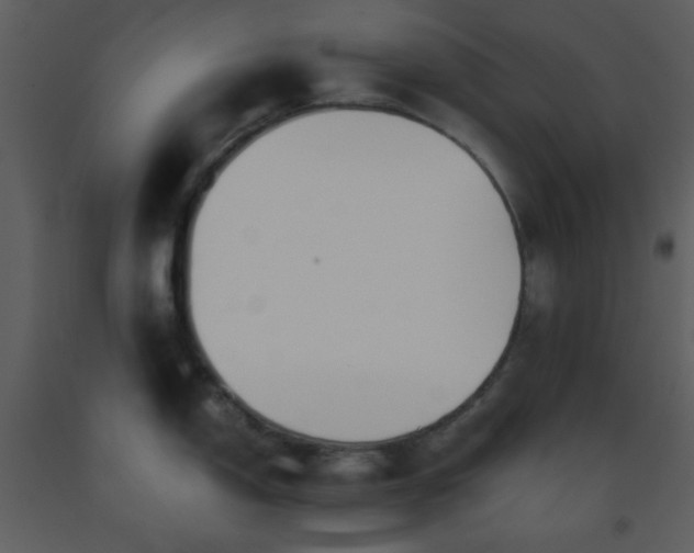X0000093561150200710221417