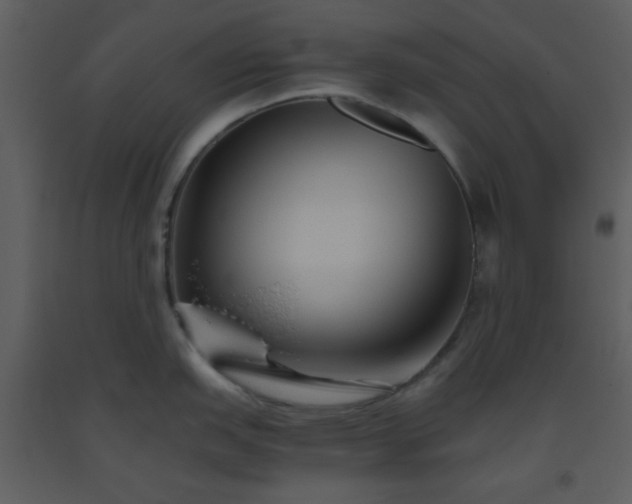 X0000093561151200710221417
