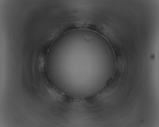 X0000093561154200710221417