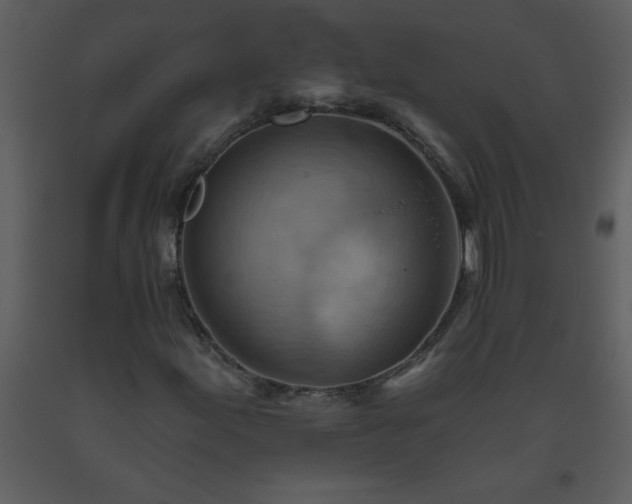 X0000093561155200710221417