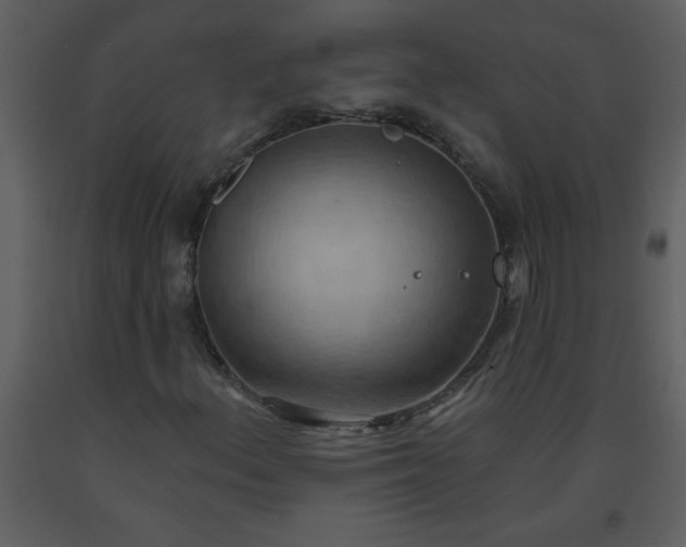 X0000093561156200710221417