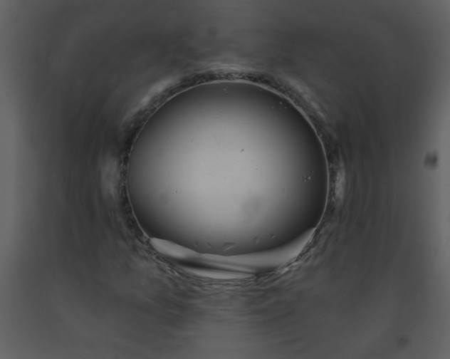 X0000093561157200710221416