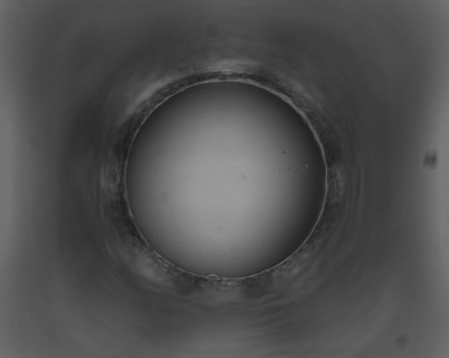 X0000093561158200710221416