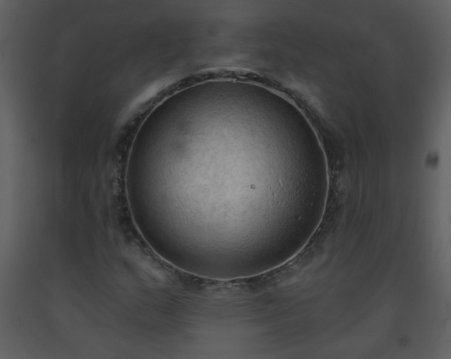 X0000093561159200710221416