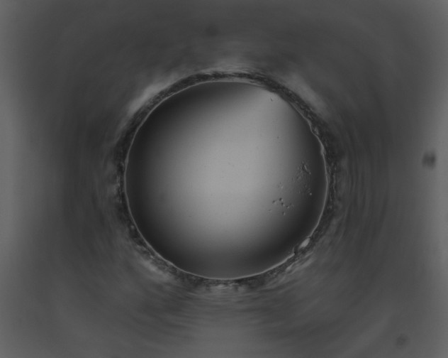 X0000093561160200710221416