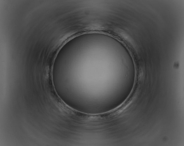 X0000093561161200710221416