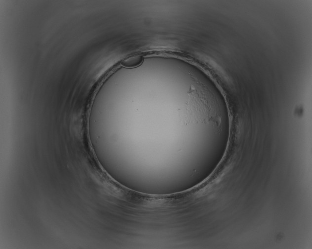 X0000093561162200710221416