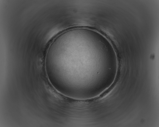 X0000093561163200710221416