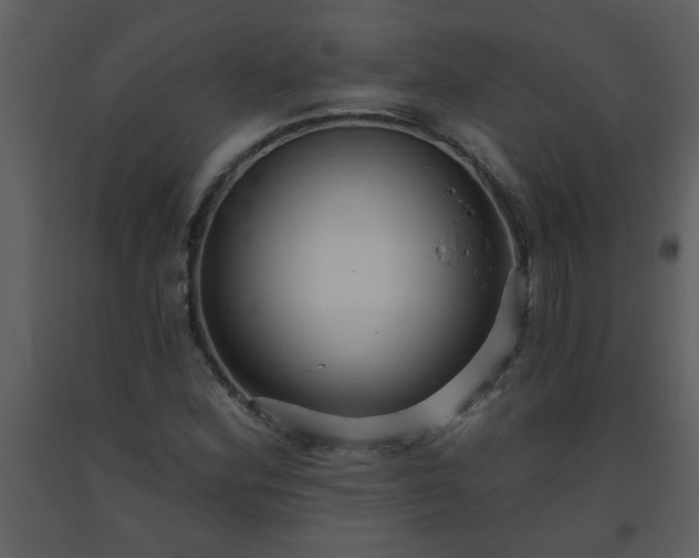 X0000093561164200710221416