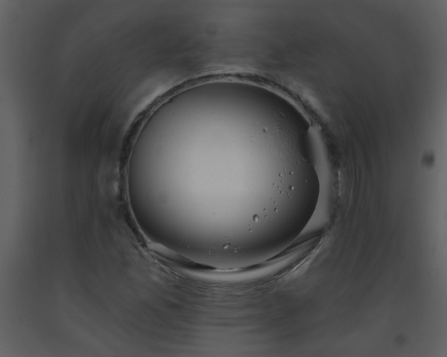 X0000093561165200710221416