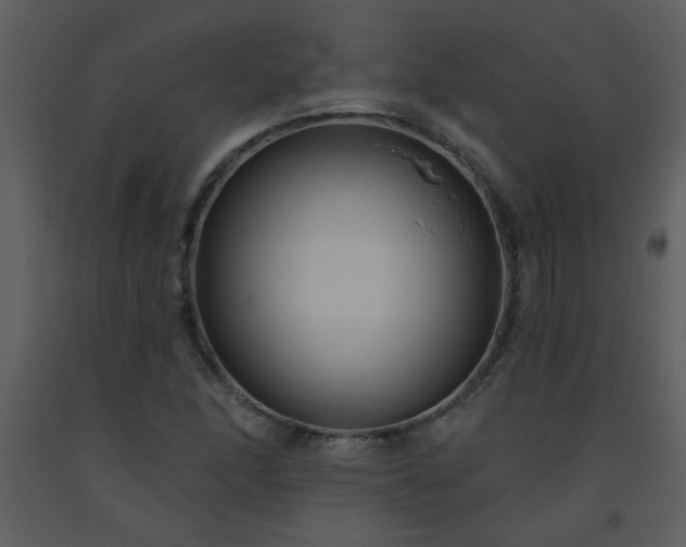 X0000093561166200710221416