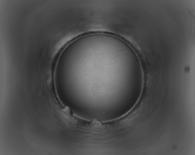 X0000093561167200710221416