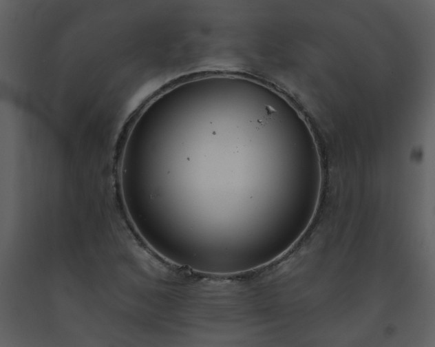 X0000093561168200710221416