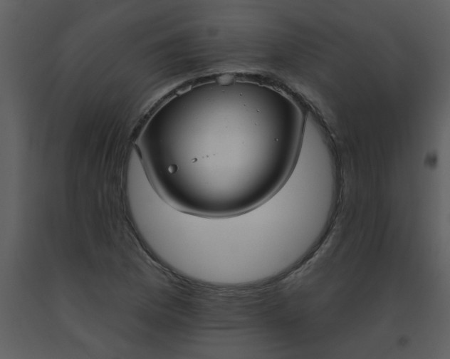 X0000093561169200710221416