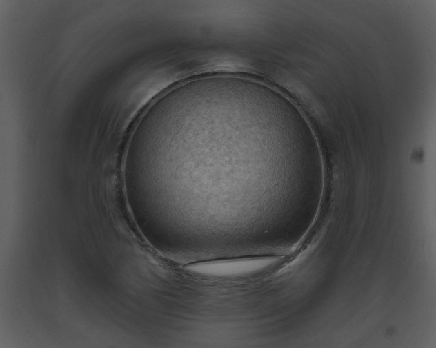 X0000093561170200710221416