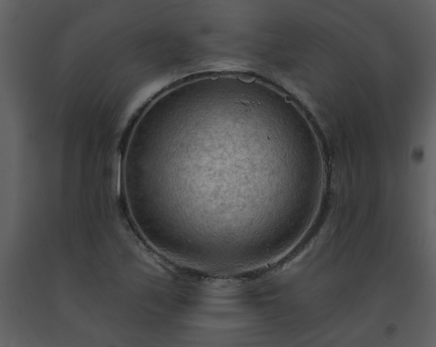 X0000093561171200710221416