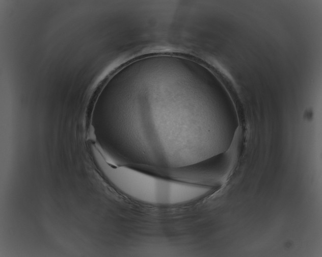 X0000093561173200710221416