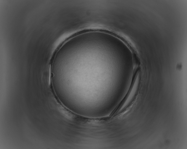 X0000093561175200710221416