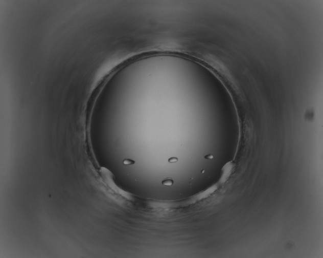 X0000093561176200710221416