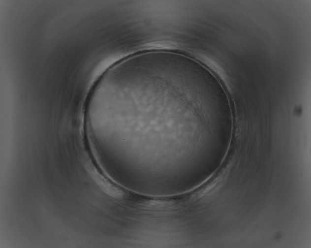 X0000093561179200710221416