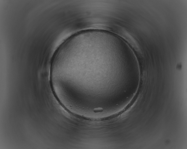 X0000093561180200710221416
