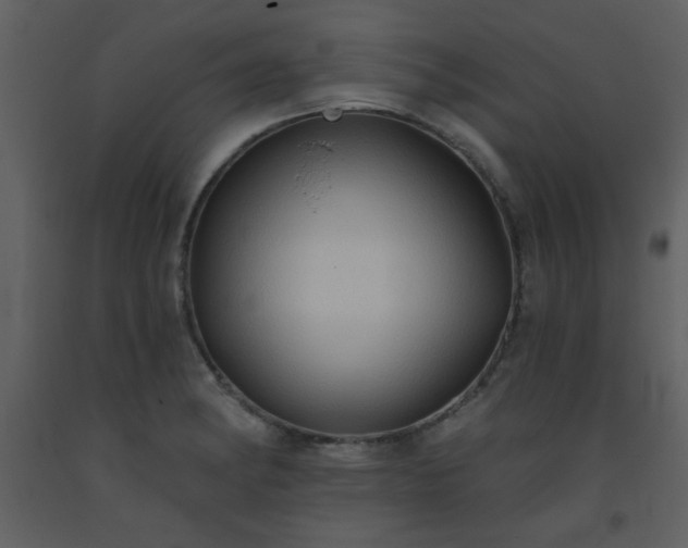 X0000093561182200710221416