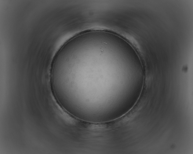 X0000093561183200710221416